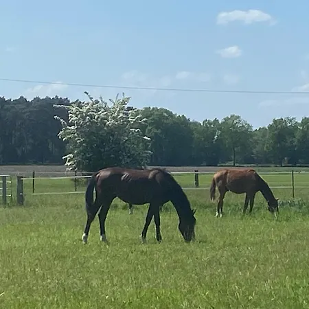 Wunderschoene Mit Balkon Auf Dem Bauernhof