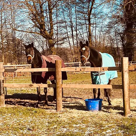Apartment Wunderschoene Mit Balkon Auf Dem Bauernhof