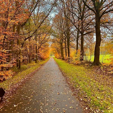 Wunderschoene Mit Balkon Auf Dem Bauernhof Apartment *