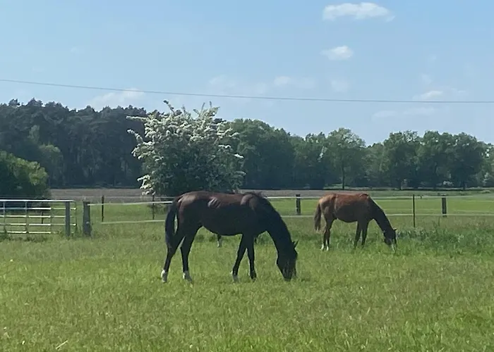Wunderschoene Mit Balkon Auf Dem Bauernhof