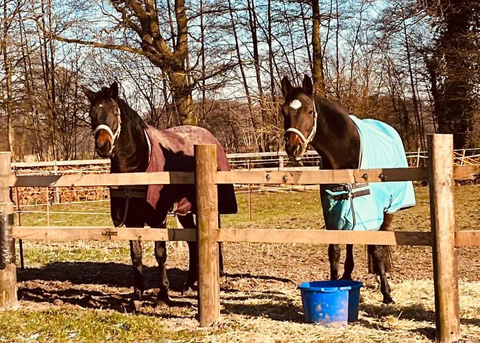 Lägenhet Wunderschoene Mit Balkon Auf Dem Bauernhof